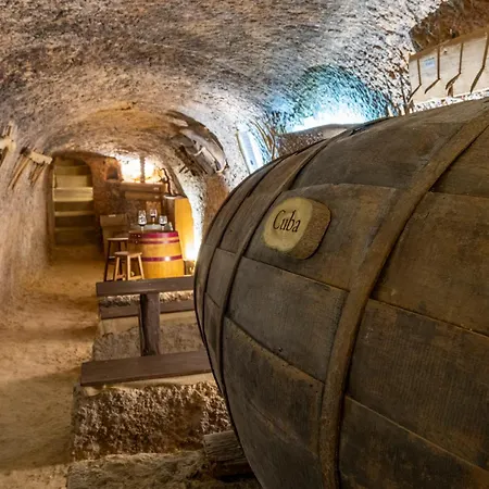 Rural La Bodega Del Baldomero Country house San Esteban De Gormaz